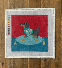 Dachshund